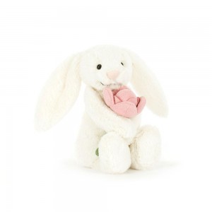 Conejo Jellycat Bashful Bunny 'Peony' 7.1in x 3.5in x 3.1in Blancas Argentina | ISYJG-5947